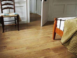 家里不要鋪木地板了,有錢人都興裝這種代替,省錢漂亮又易清潔