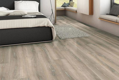 德國Haro品牌木地板 品質與設計的完美融合，暢銷全國